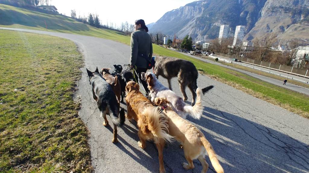 Gruppenspaziergang